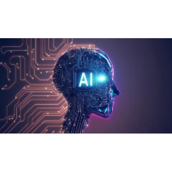 ECU-AI ECU Software 300 files